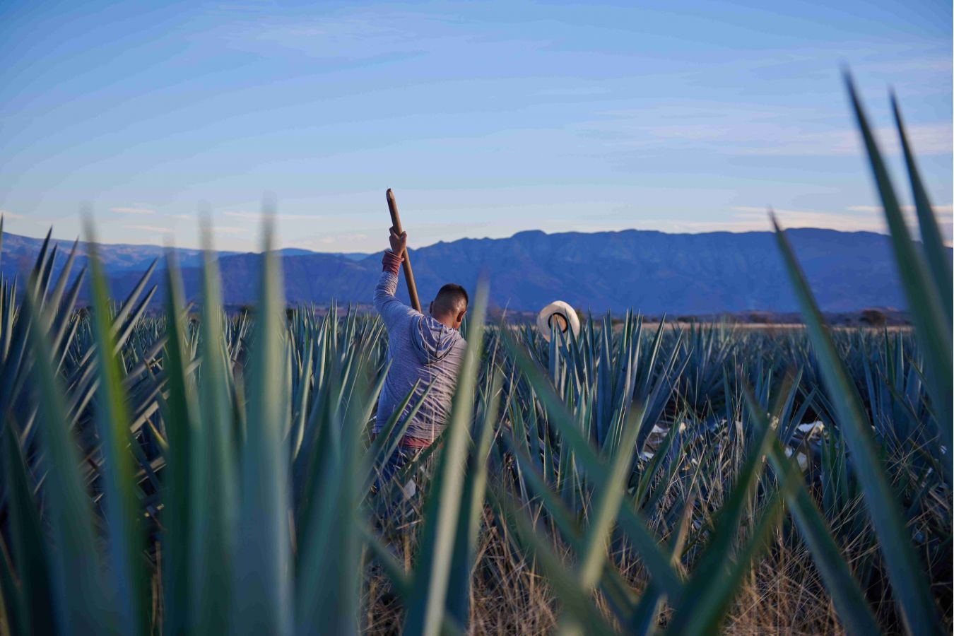 Na český trh přichází nová tequila Volcan De Mi Tierra, která spojuje to nejlepší ze dvou světů