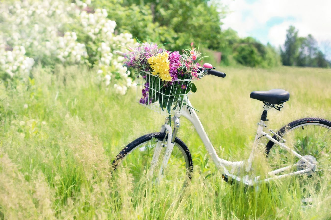 BIKE Life! se po létech vrací do Brna