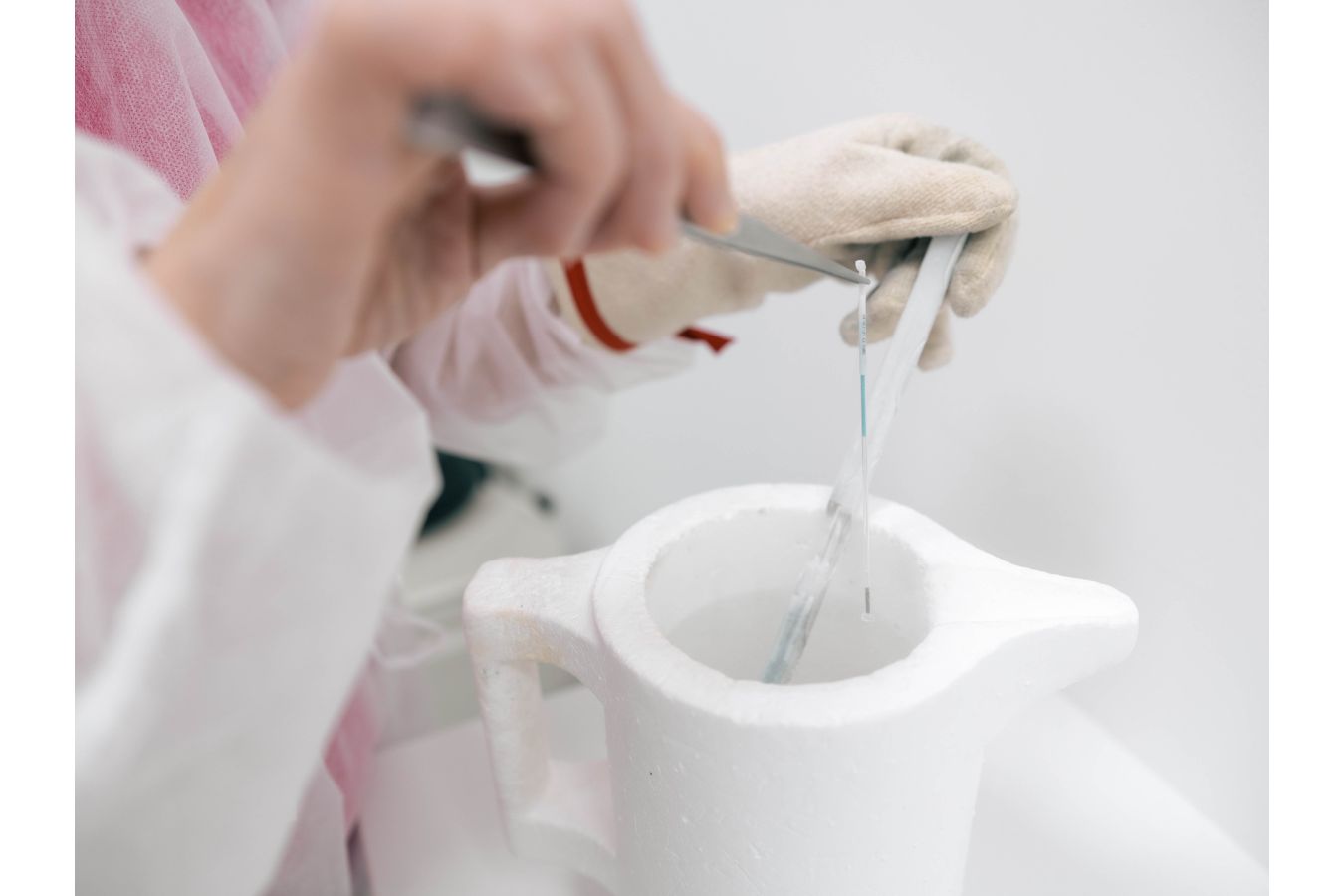 Social freezing v centru pozornosti: od osobních příběhů po nabídky klinik