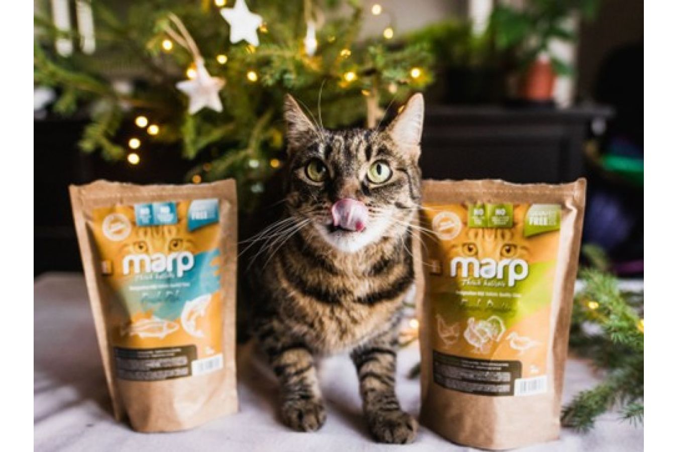 Několik opravdu dobrých tipů na skvělé dárky pro vaše kočičí štěstí