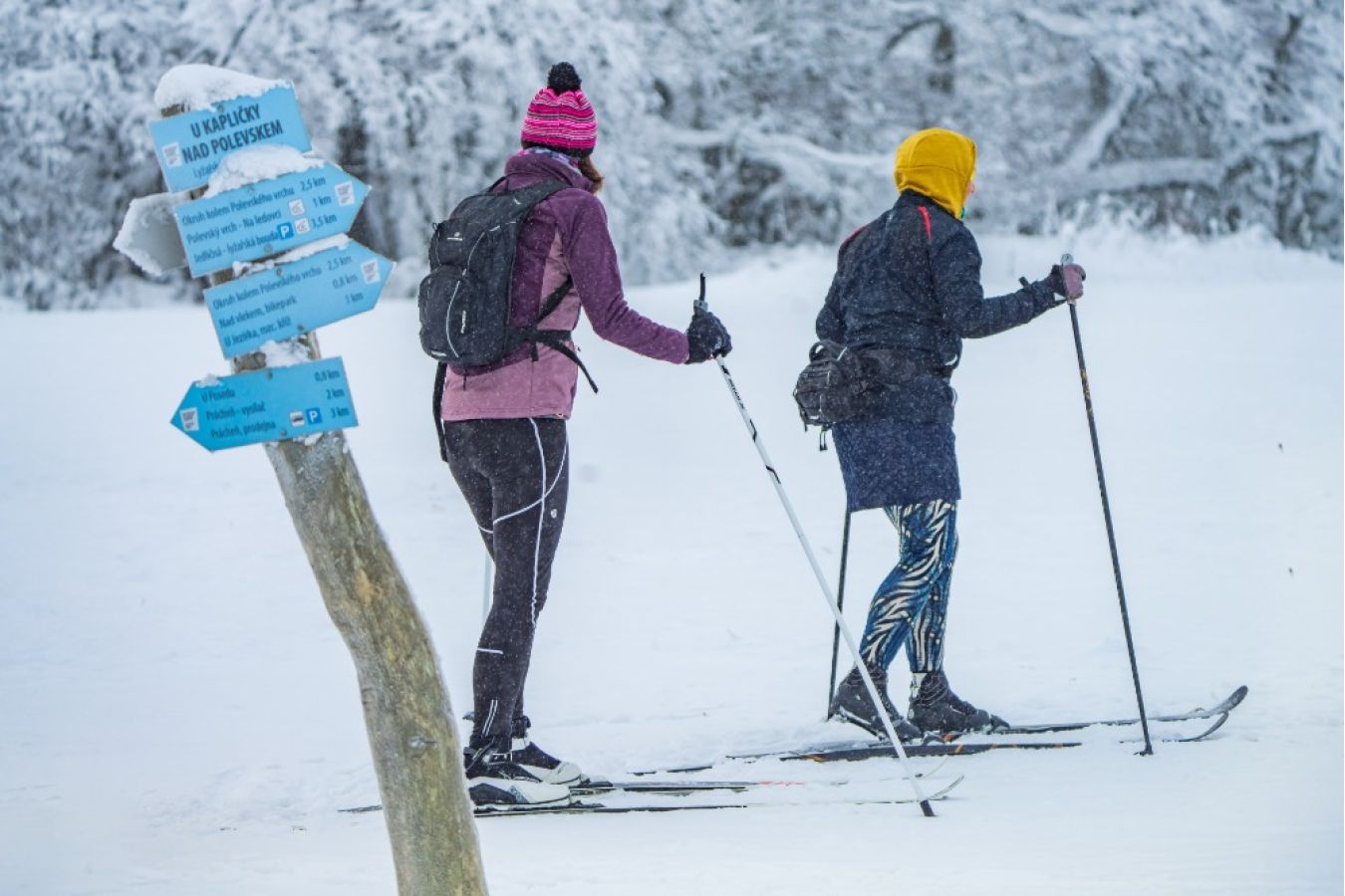 Zimní Lužické hory: klid, výhledy a pěší trasy bez davů
