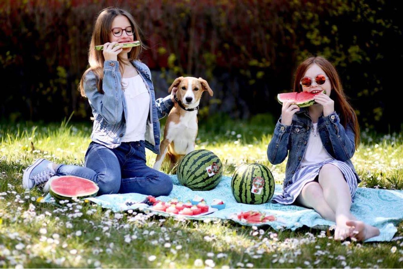 Osvěžení s prvními teplými dny: bezpec­kové melouny Bouquet jako ideální volba